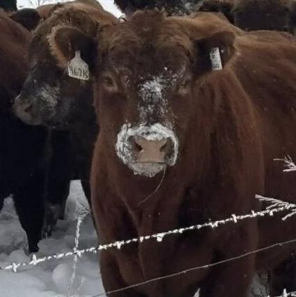 Eliminating some fences