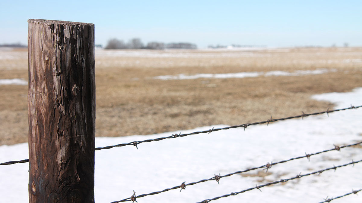 best barbed wire for cattle