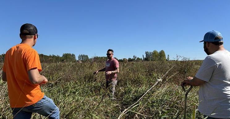 Stipetich, Oehmichen and Armstrong