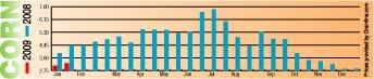 Corn markets show less volatility than in previous months 