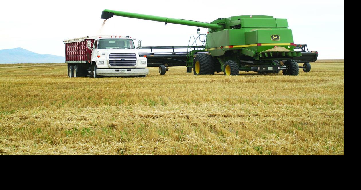 Montana 4-H Foundation launches new campaign