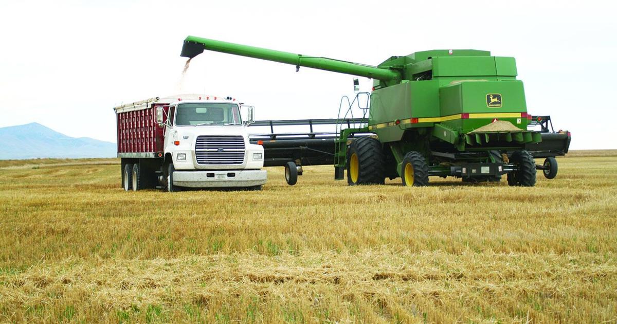 Montana 4-H Foundation launches new campaign