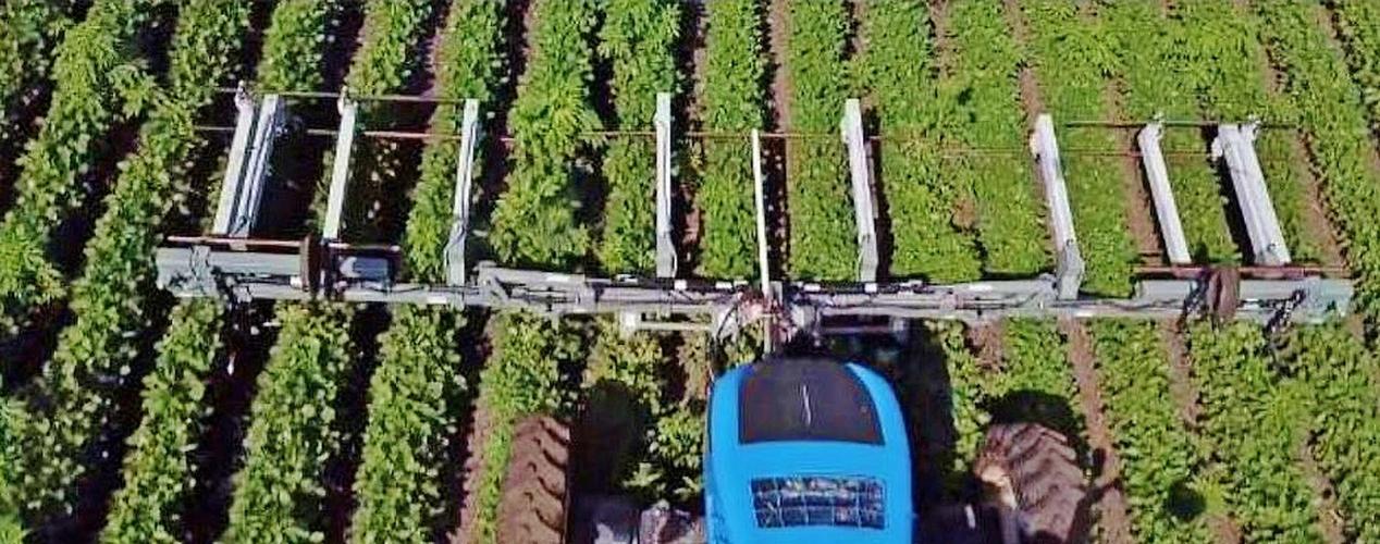 Weed zapper in bean field
