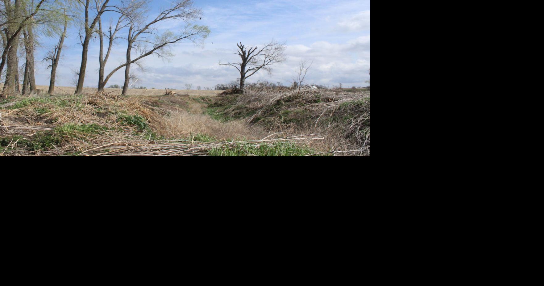 Grassland restoration (25).JPG