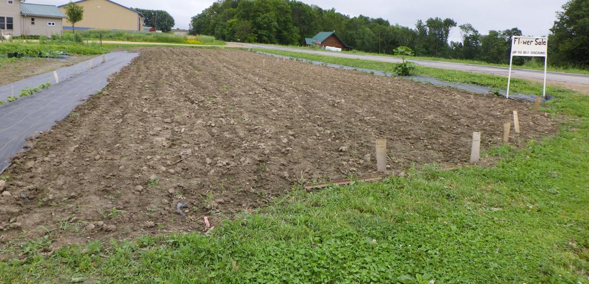 Garden plot
