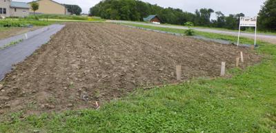 Garden plot