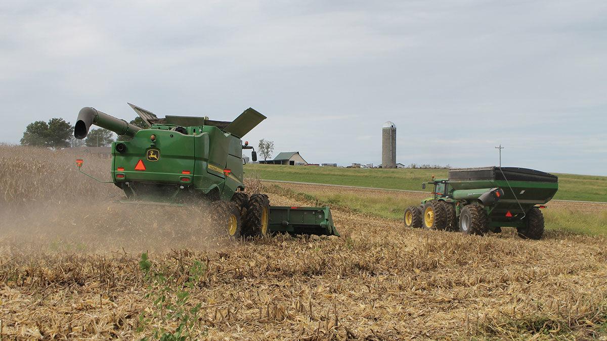 Scott Schreiman harvests a field of corn