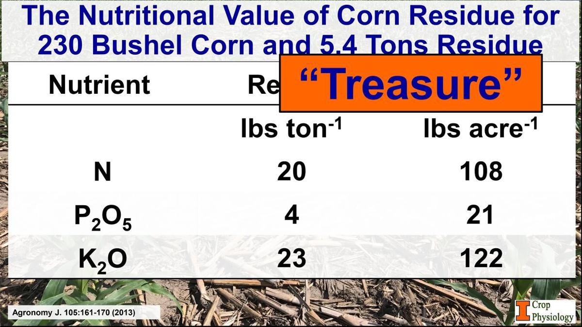Corn residue nutitional value