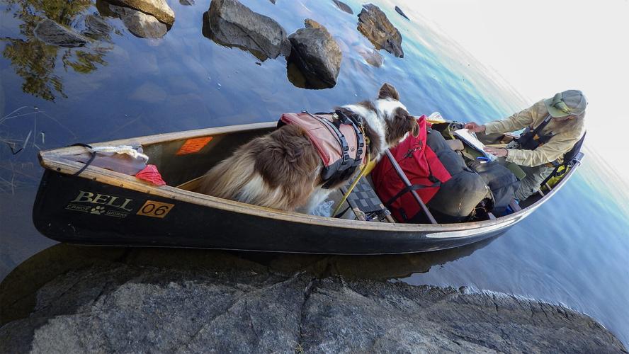 Canoe