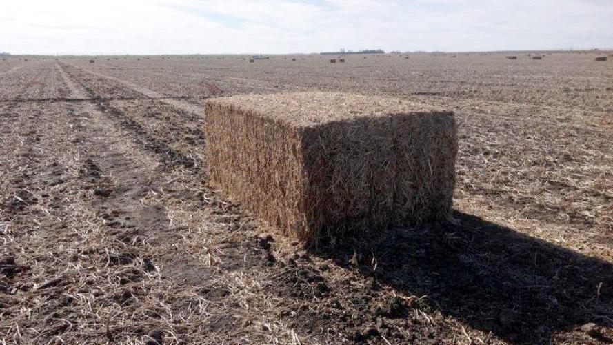 soybean residue baling