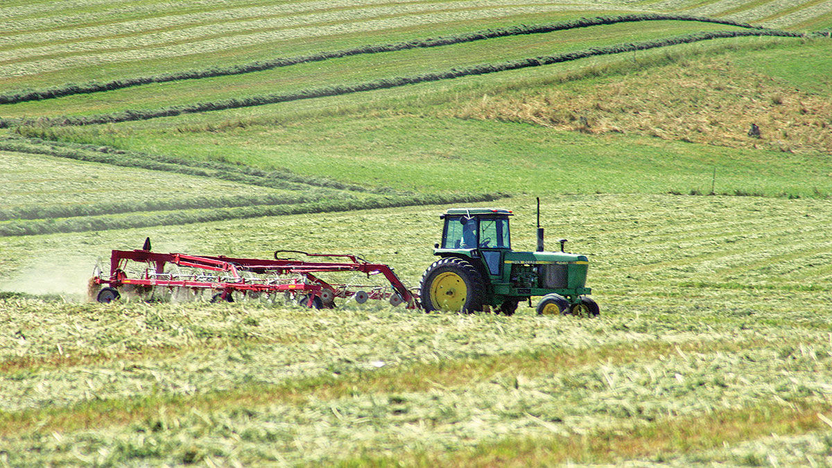 Hay and forage harvest
