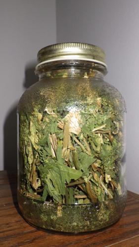 Celery
