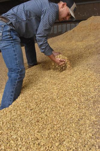 Dairy Nutrition (20).JPG