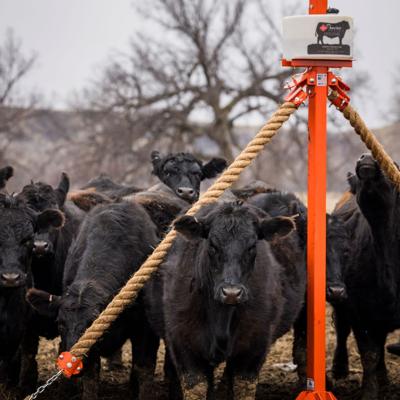 Prairie Phoenix cattle oilers featured at MAGIE