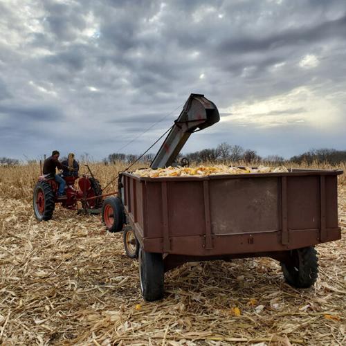 Kansas corn pickers 1