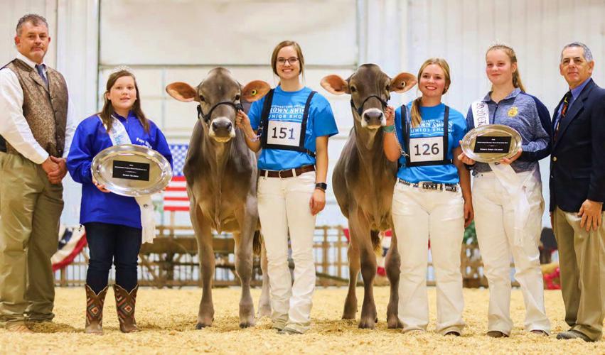 2020 Southwestern National Brown Swiss junior