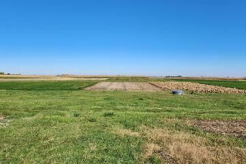 Organic plots
