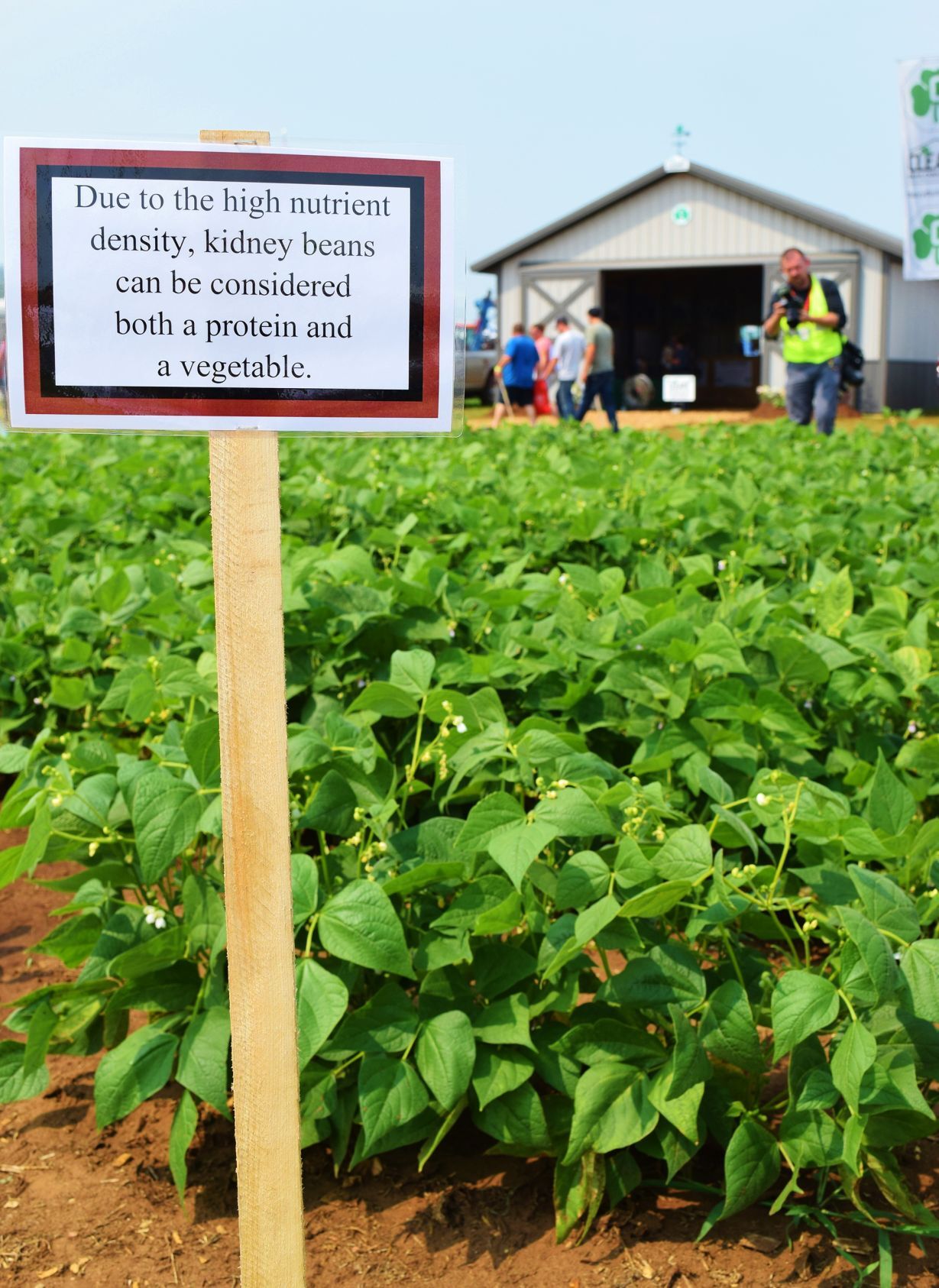 Chippewa Valley Bean Company plot