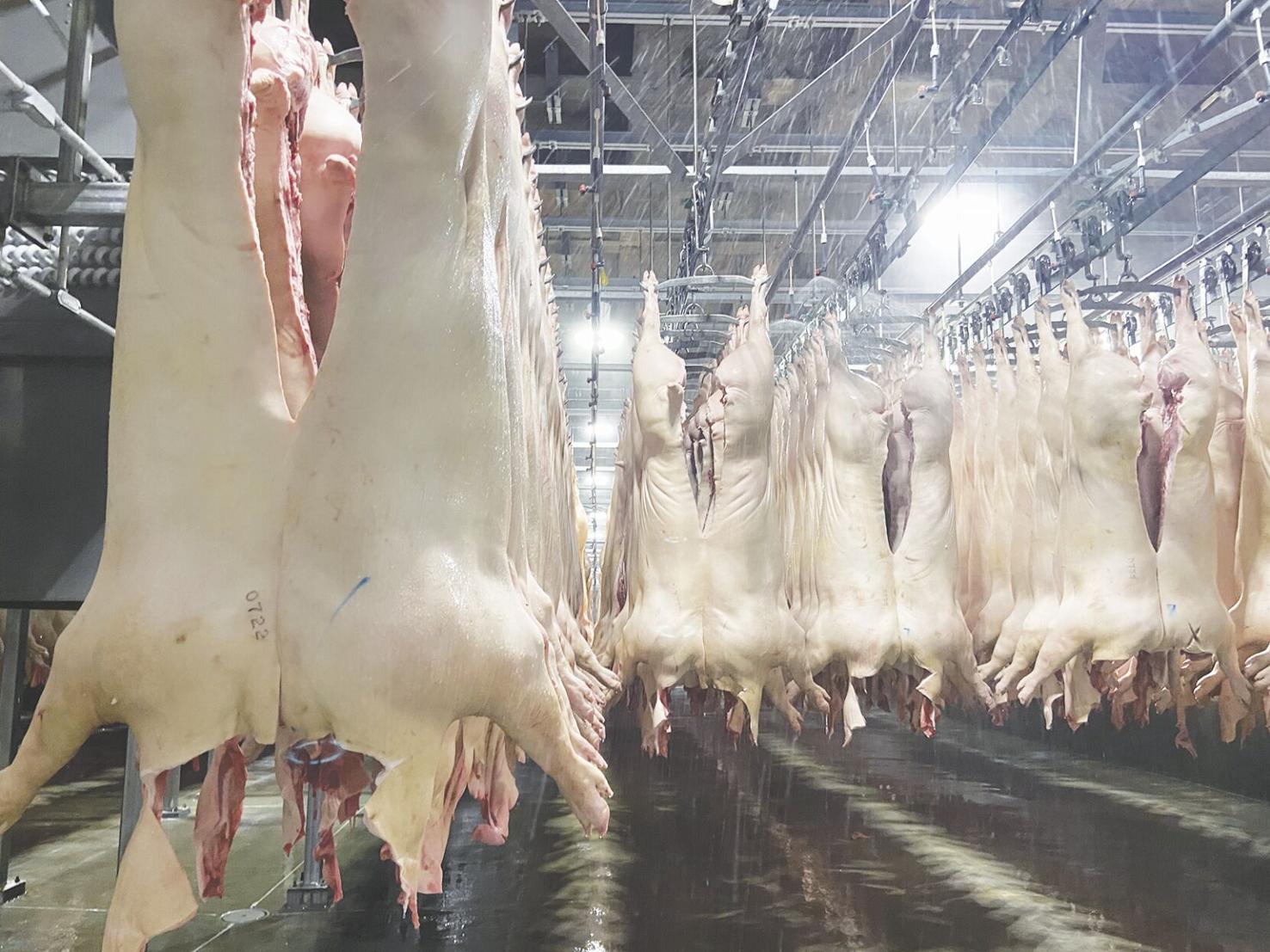 Nebraska pork processing plant provides window into new Sioux Falls