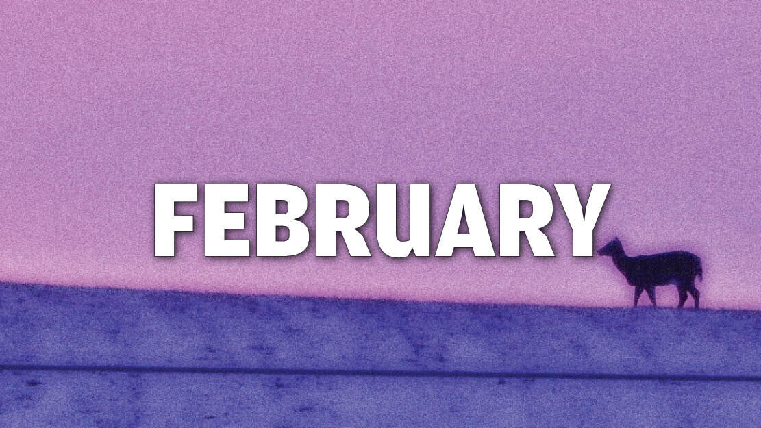 February calendar image graphic