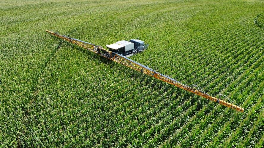 Outside the box 4.jpg