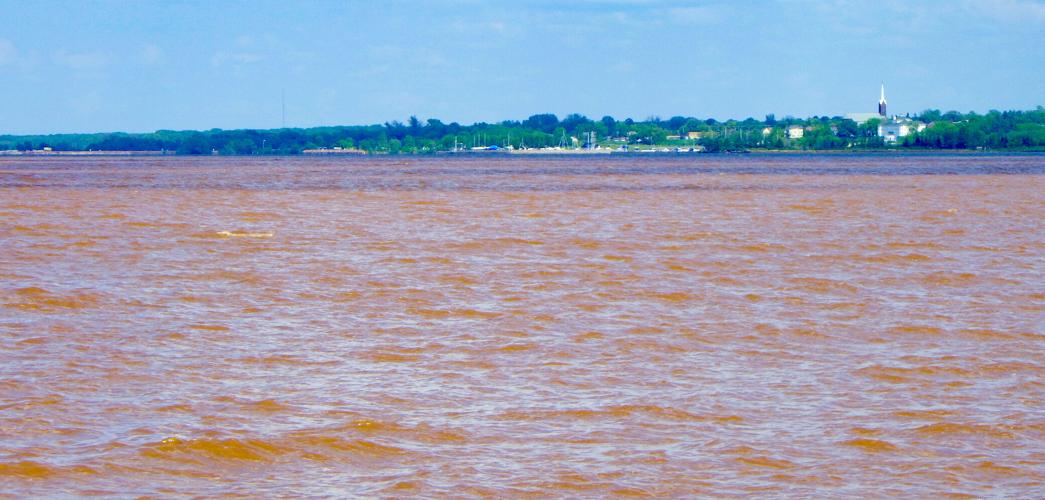 Brown water