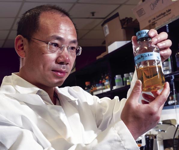 Wei Zhang in laboratory