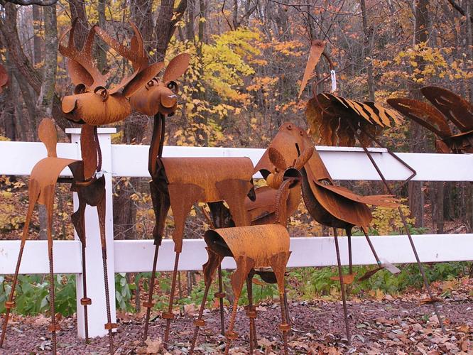 Deer skeletons