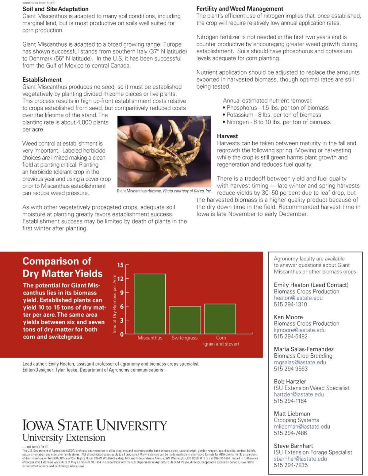 Miscanthus facts part 2