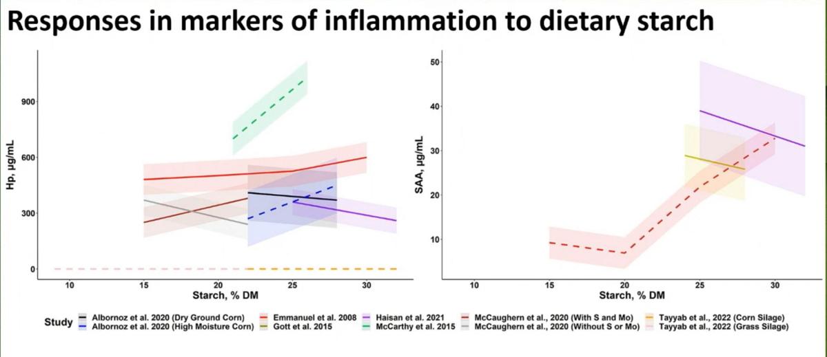 Dairy-cow livability inflammation-starch graphic
