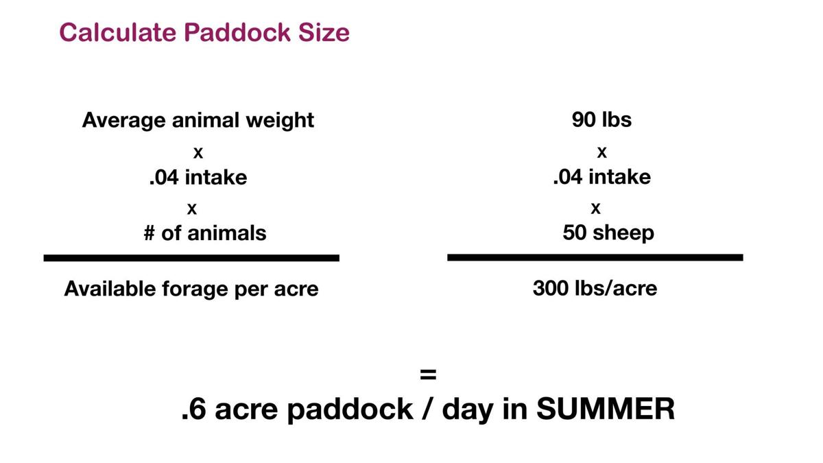 Calculate paddock size, example