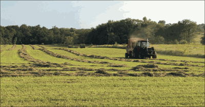 baling hay