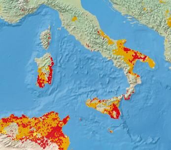 European drought monitor