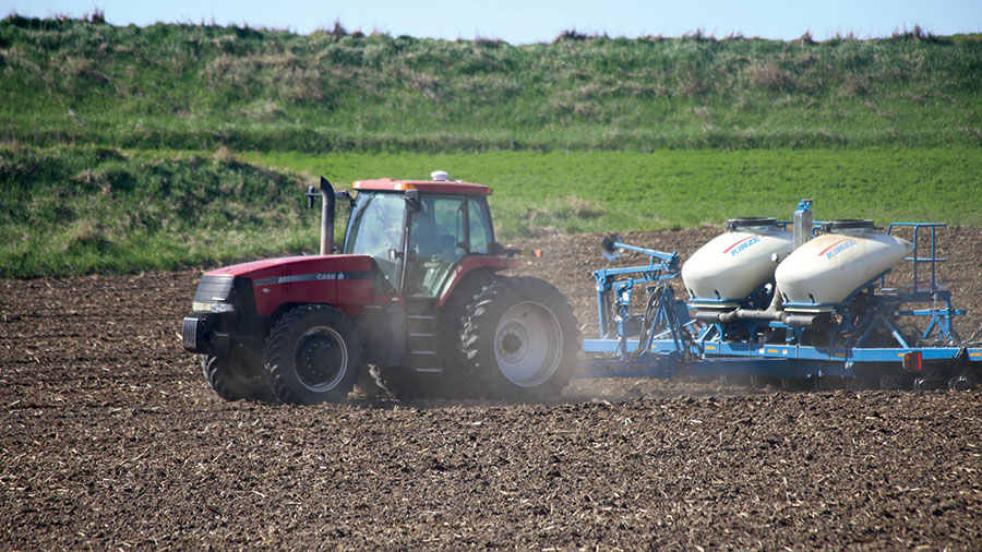 Steve Leinen plants corn