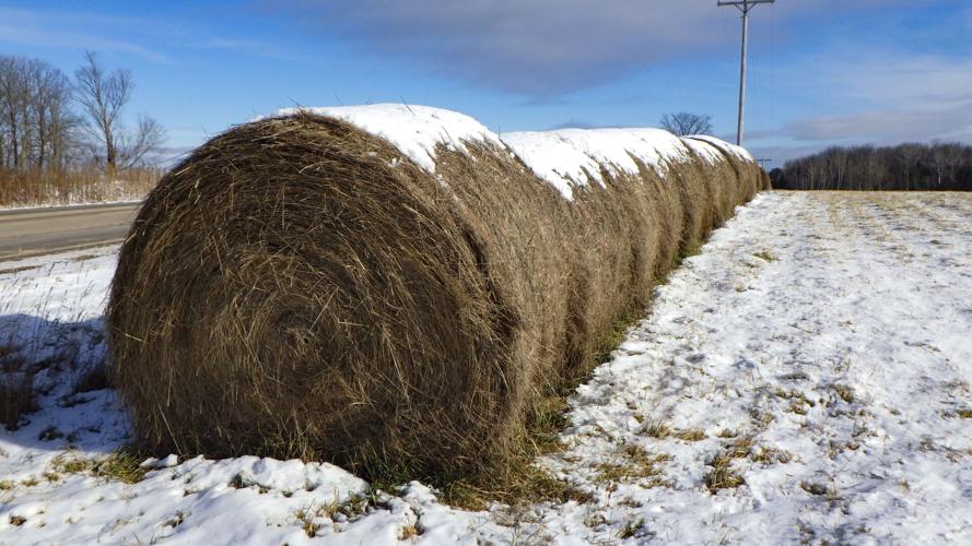 Hay bales