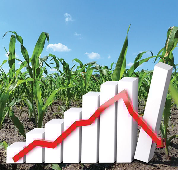 Markets take heavy hit from COVID-19 but optimism remains