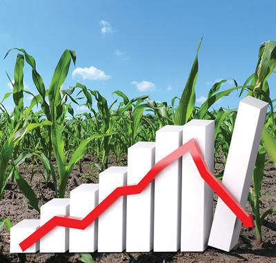 Markets take heavy hit from COVID-19 but optimism remains