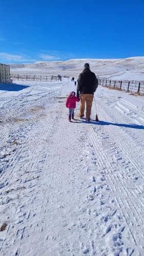 Calving season two-thirds over for Olsen Ranch