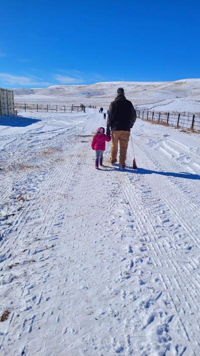 Calving season two-thirds over for Olsen Ranch