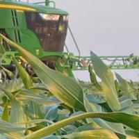 Spears prepare for wheat harvest during stretch of high heat