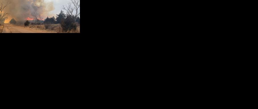 Manage cattle nutrition during pasture recovery