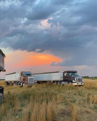 Nebraska Wheat recap 4.jpg