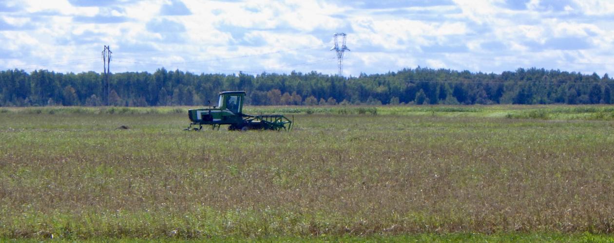 Tractor in field