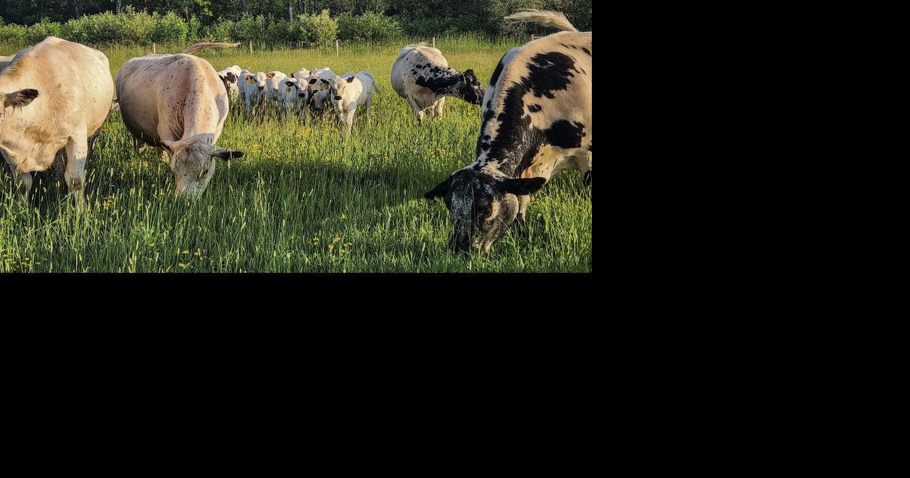 Sentiment improves despite worries