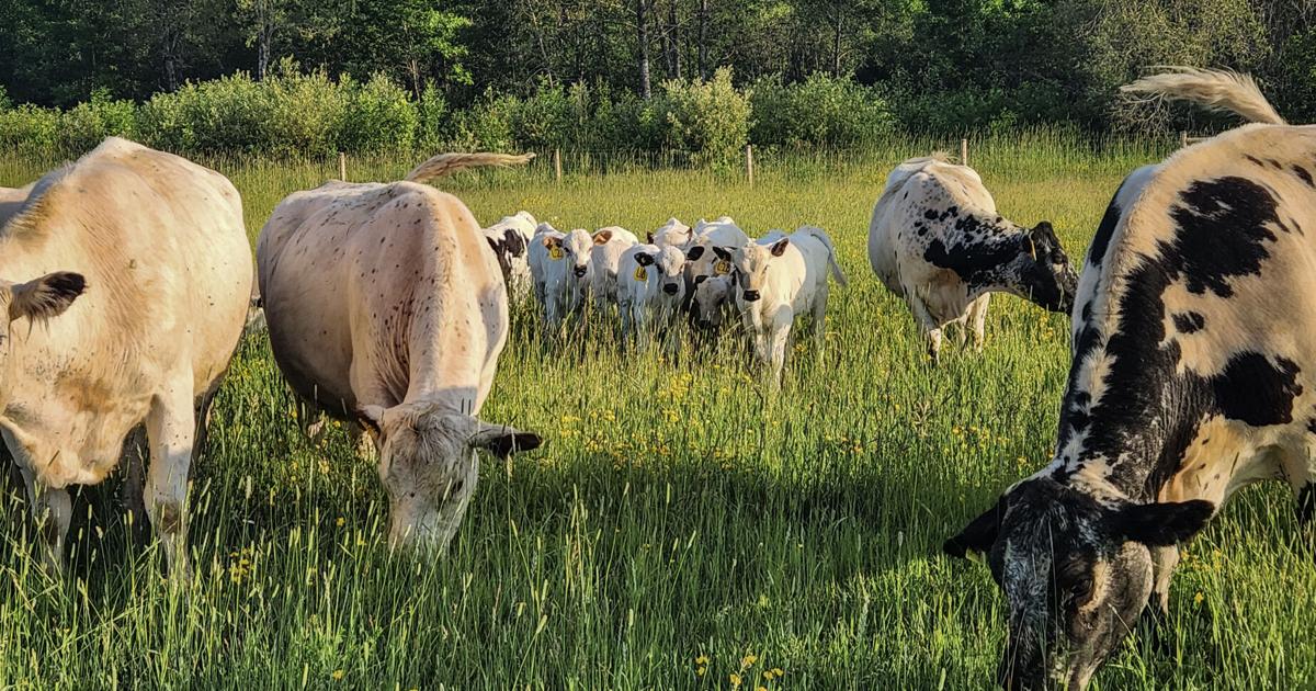 Sentiment improves despite worries