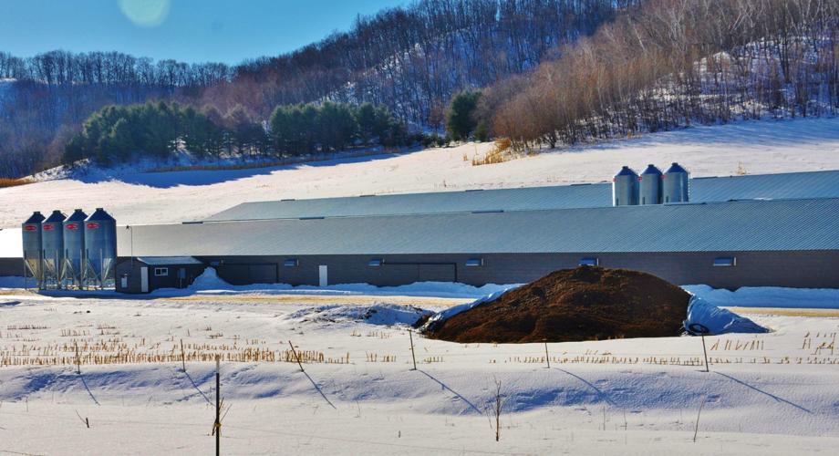 Chicken manure and poultry barn