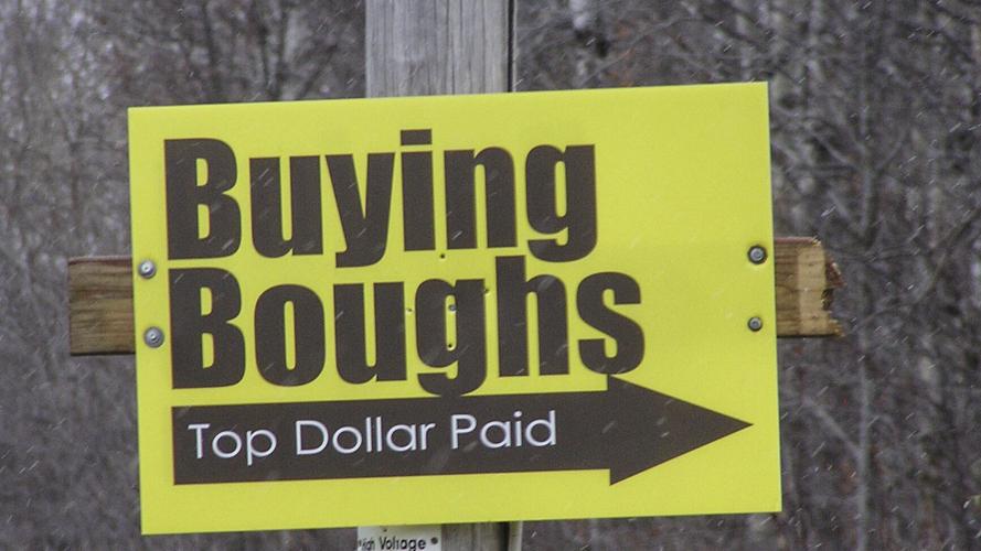Buying boughs