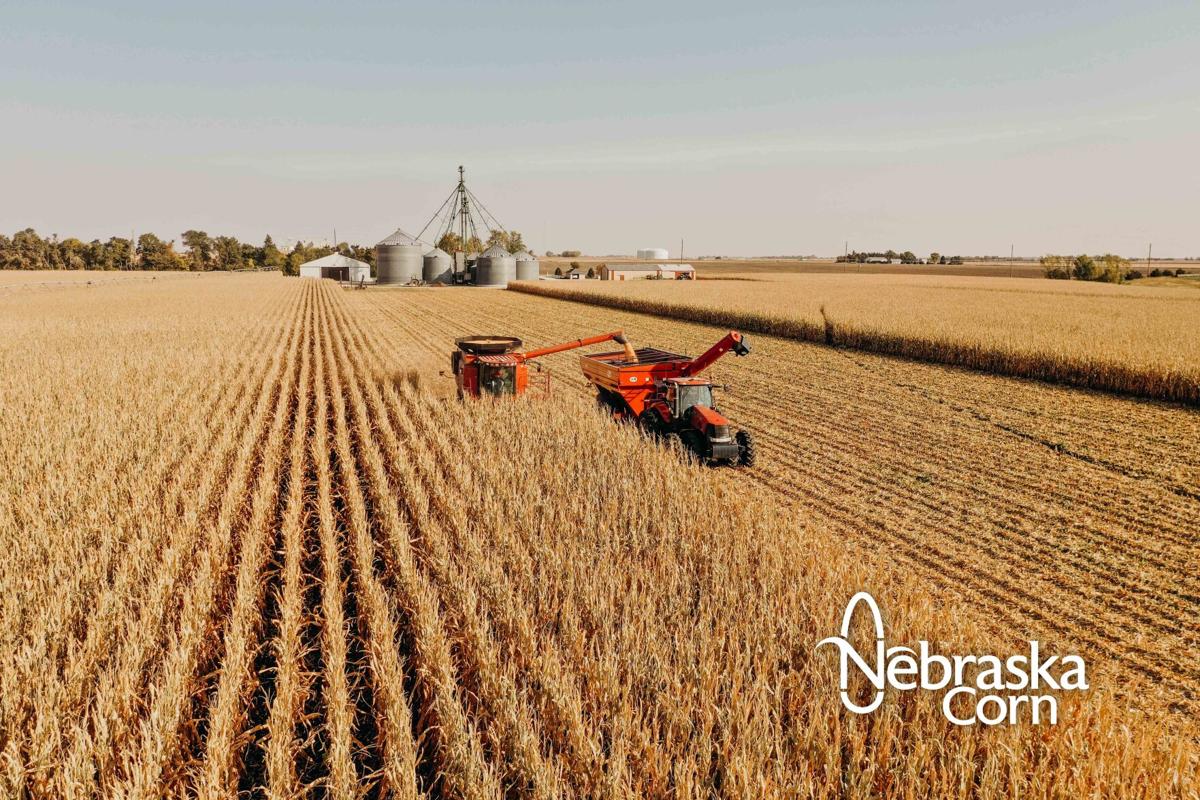 Harvest safety