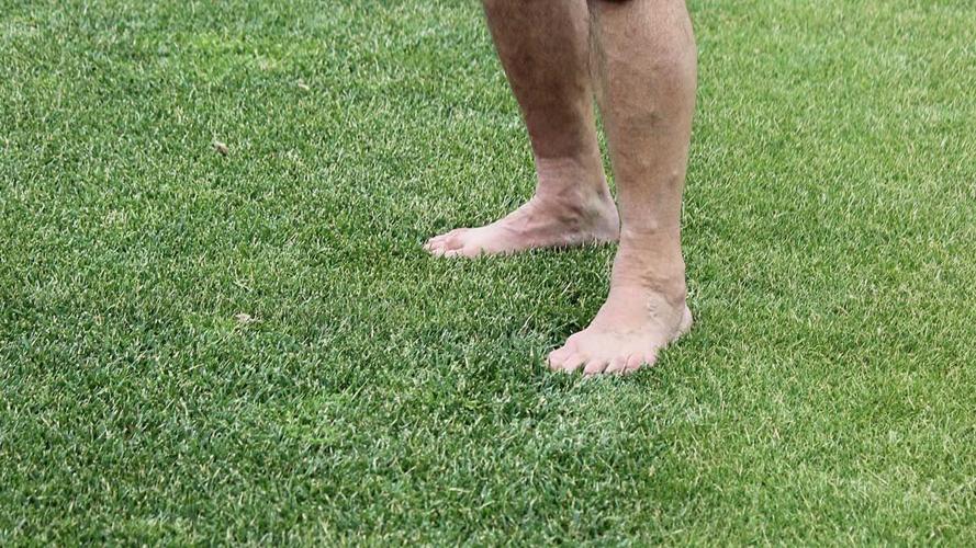 barefoot on the grass trials of DLF,