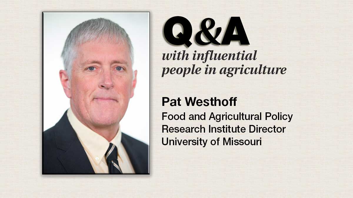 Q & A Pat Westhoff